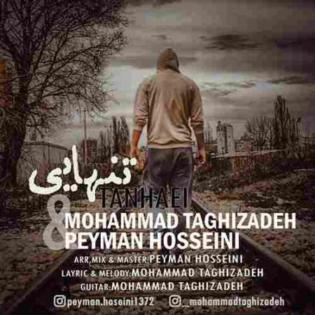 محمد تقی زاده تنهایی
