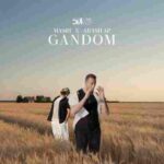 دانلود آهنگ مسیح و آرش AP گندم